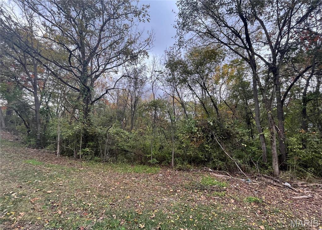 509 East Wilson Avenue Gillespie, IL 62033 - Photo 5 of 13