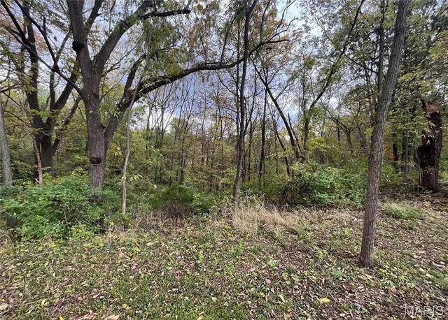 $10,000 | 509 East Wilson Avenue, Gillespie, IL 62033