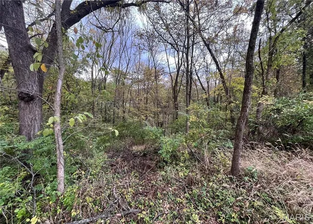 $10,000 | 509 East Wilson Avenue, Gillespie, IL 62033