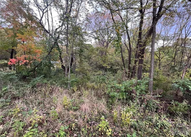 $10,000 | 509 East Wilson Avenue, Gillespie, IL 62033