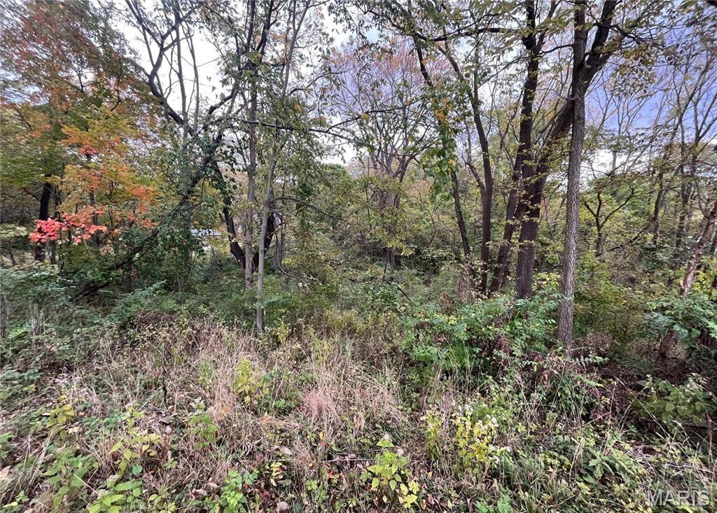 509 East Wilson Avenue Gillespie, IL 62033 - Photo 8 of 13