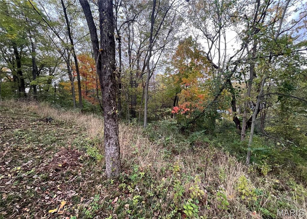 509 East Wilson Avenue Gillespie, IL 62033 - Photo 9 of 13