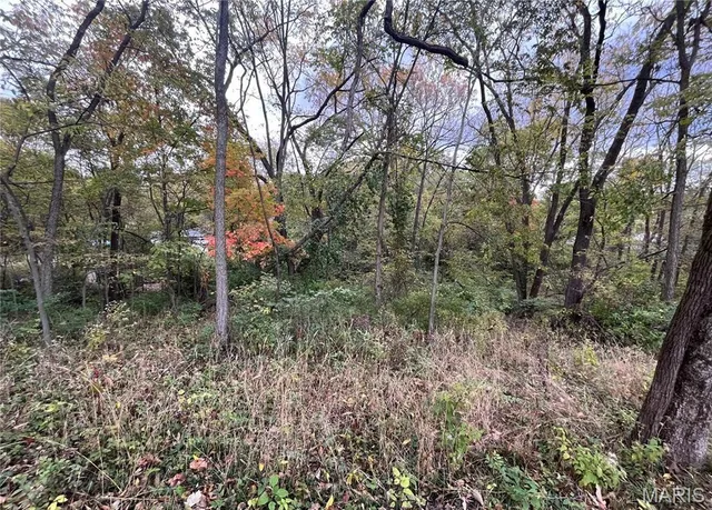 $10,000 | 509 East Wilson Avenue, Gillespie, IL 62033