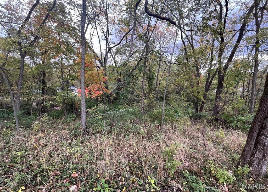 509 East Wilson Avenue Gillespie, IL 62033 - Photo 10 of 13