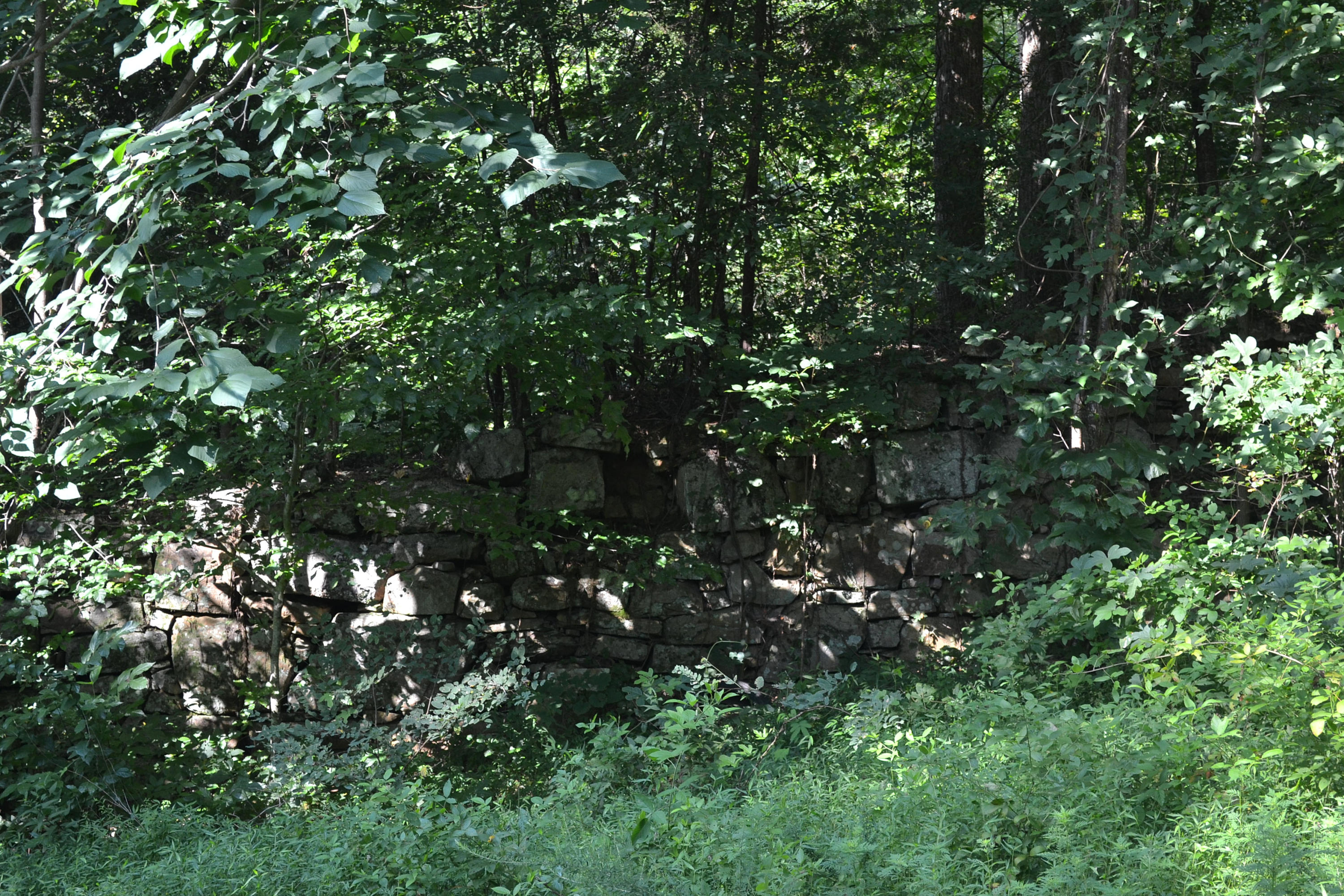 400-ac 400-ac Lusk Loop Road Dunlap, TN 37327 - Photo 13 of 41 8
