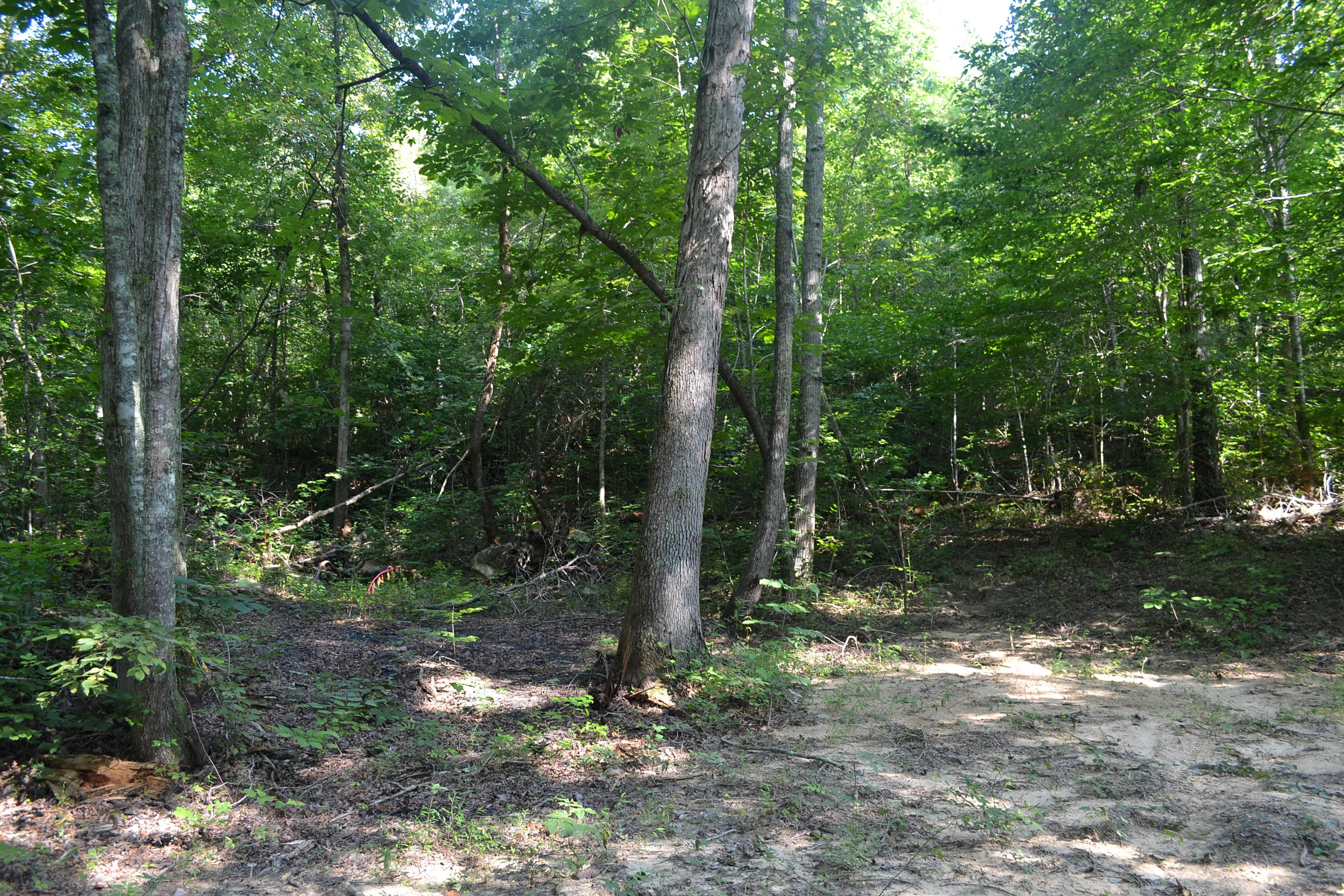 400-ac 400-ac Lusk Loop Road Dunlap, TN 37327 - Photo 15 of 41 11