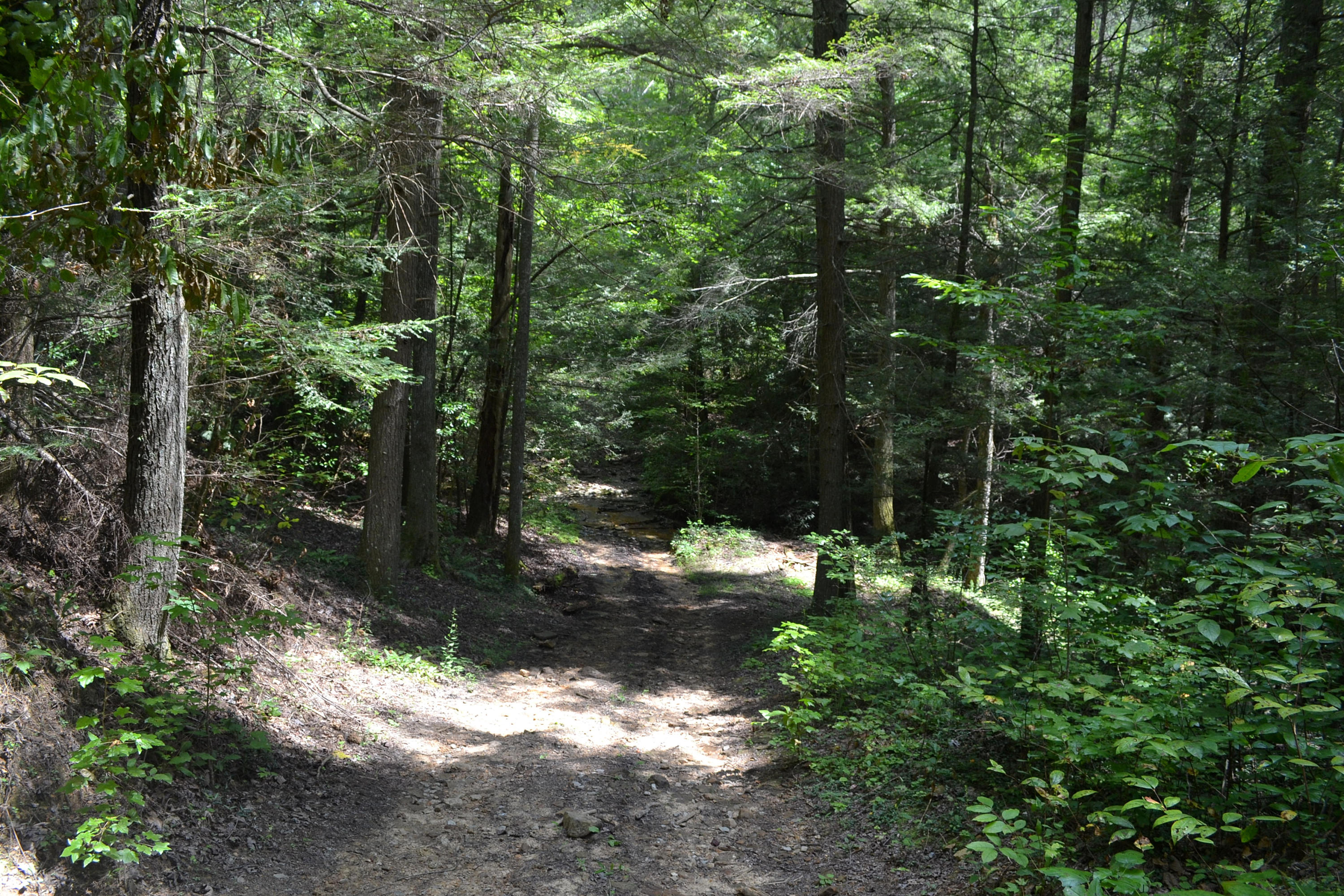 400-ac 400-ac Lusk Loop Road Dunlap, TN 37327 - Photo 21 of 41 60