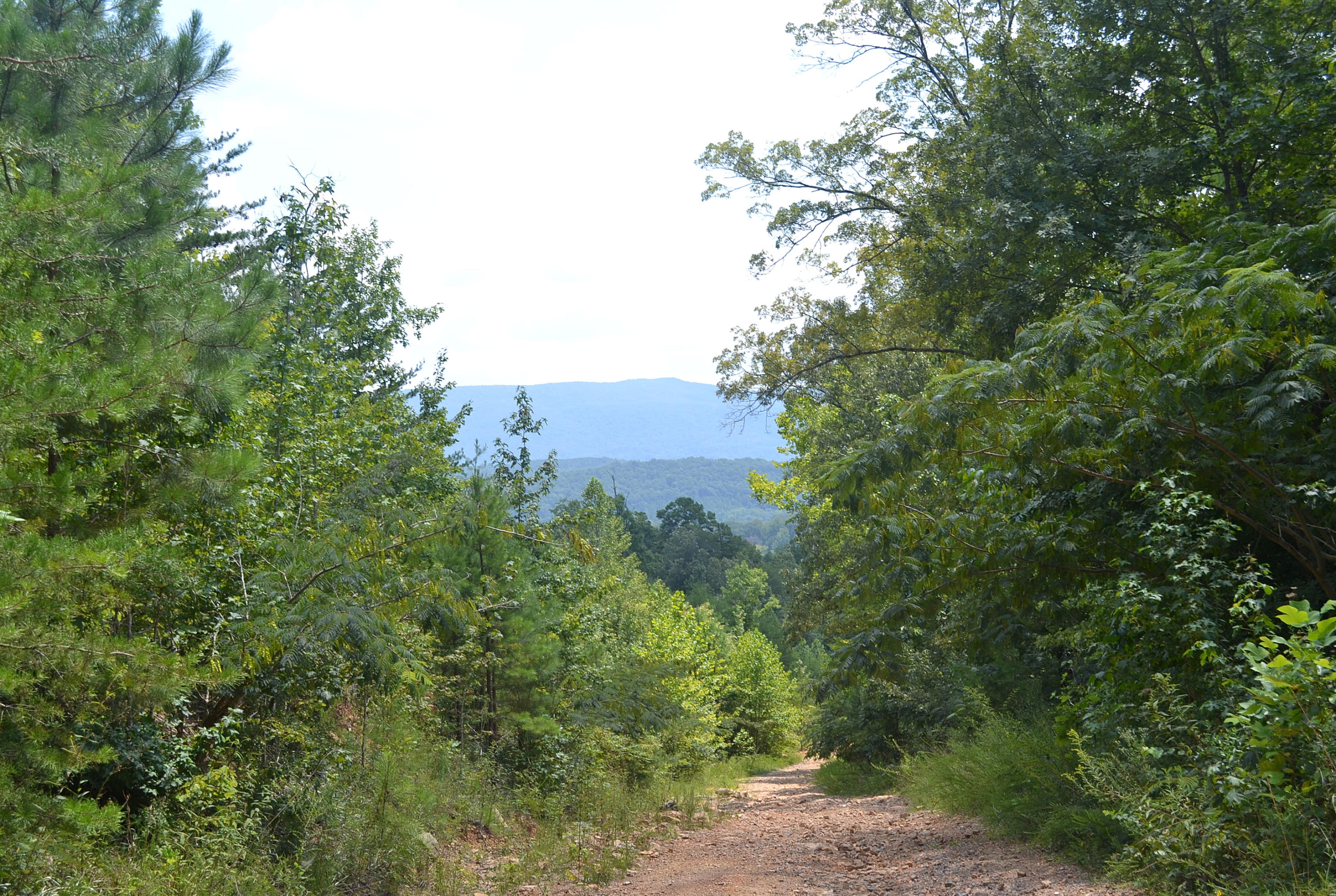 400-ac 400-ac Lusk Loop Road Dunlap, TN 37327 - Photo 23 of 41 63