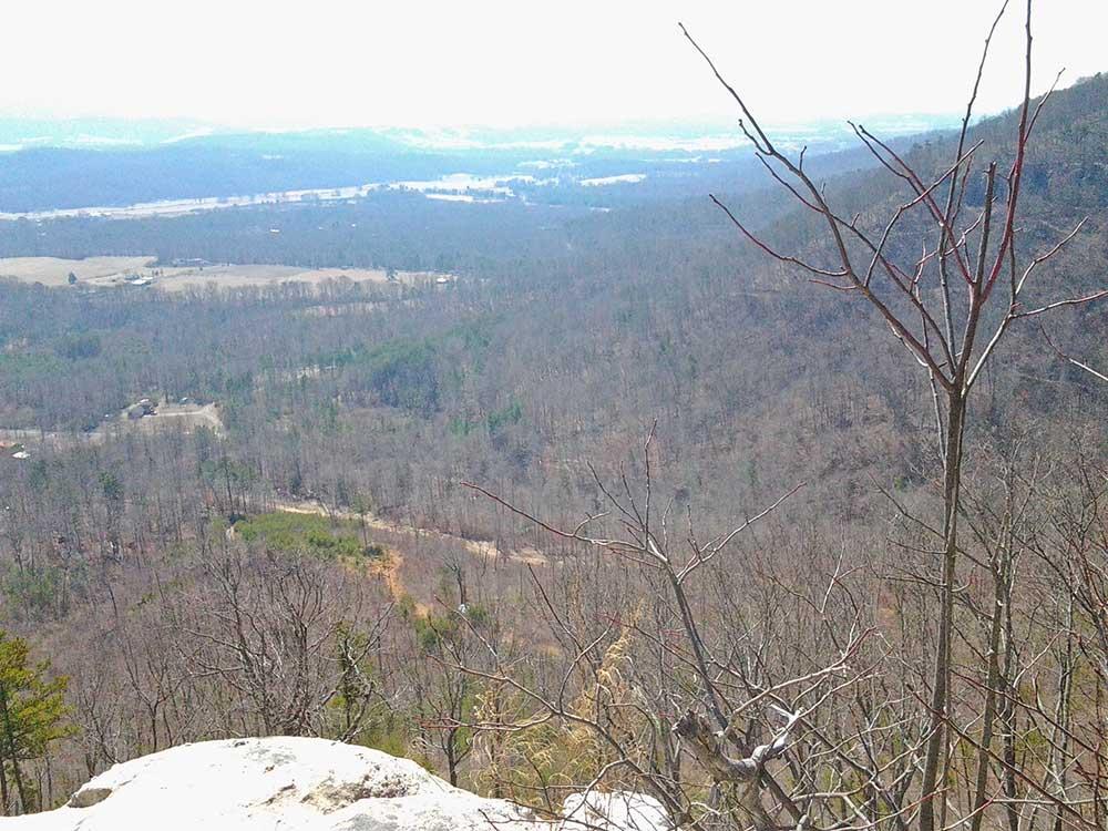 400-ac 400-ac Lusk Loop Road Dunlap, TN 37327 - Photo 35 of 41 IMG_20140216_115649