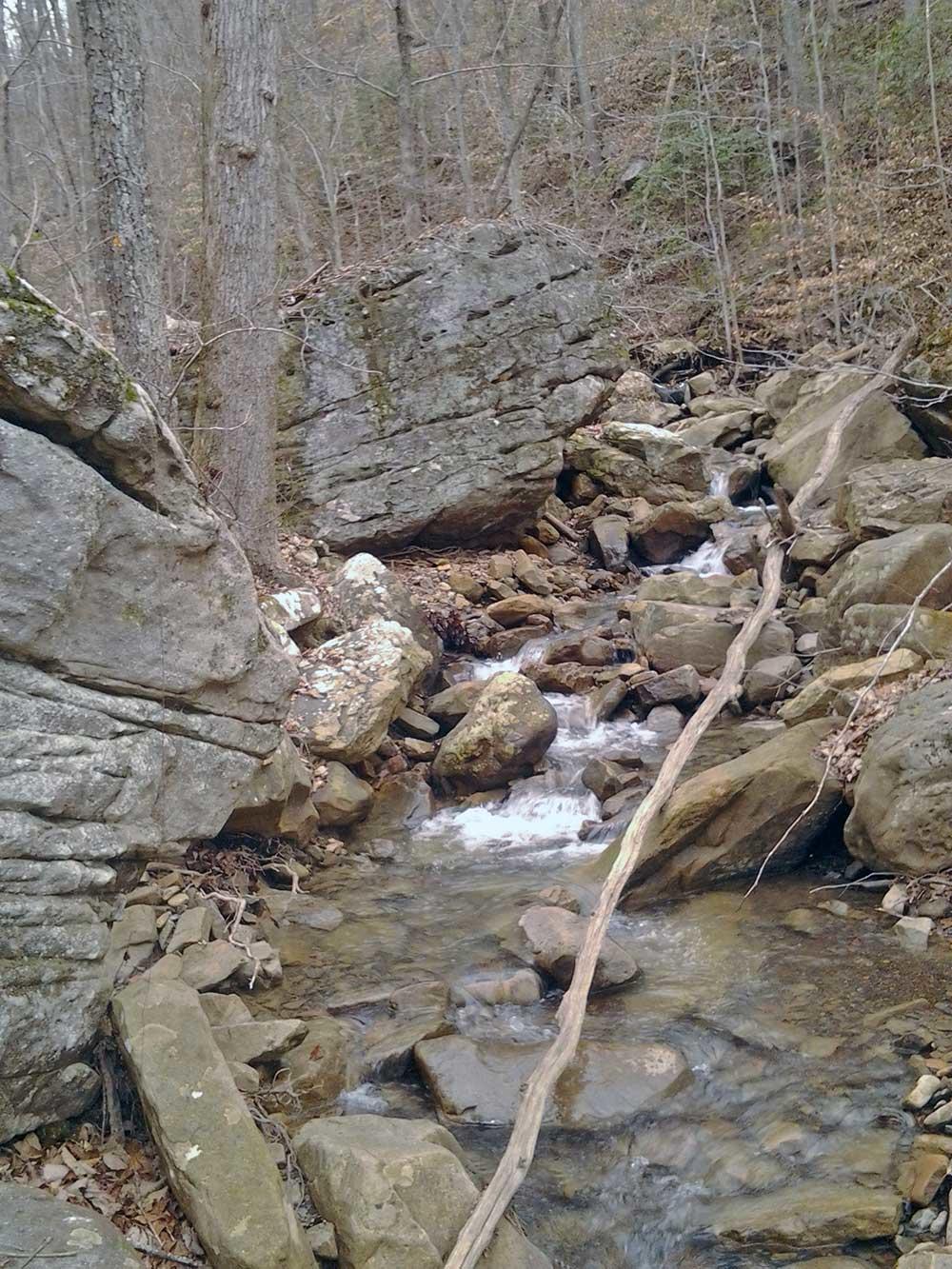 400-ac 400-ac Lusk Loop Road Dunlap, TN 37327 - Photo 37 of 41 IMG_20140301_110735