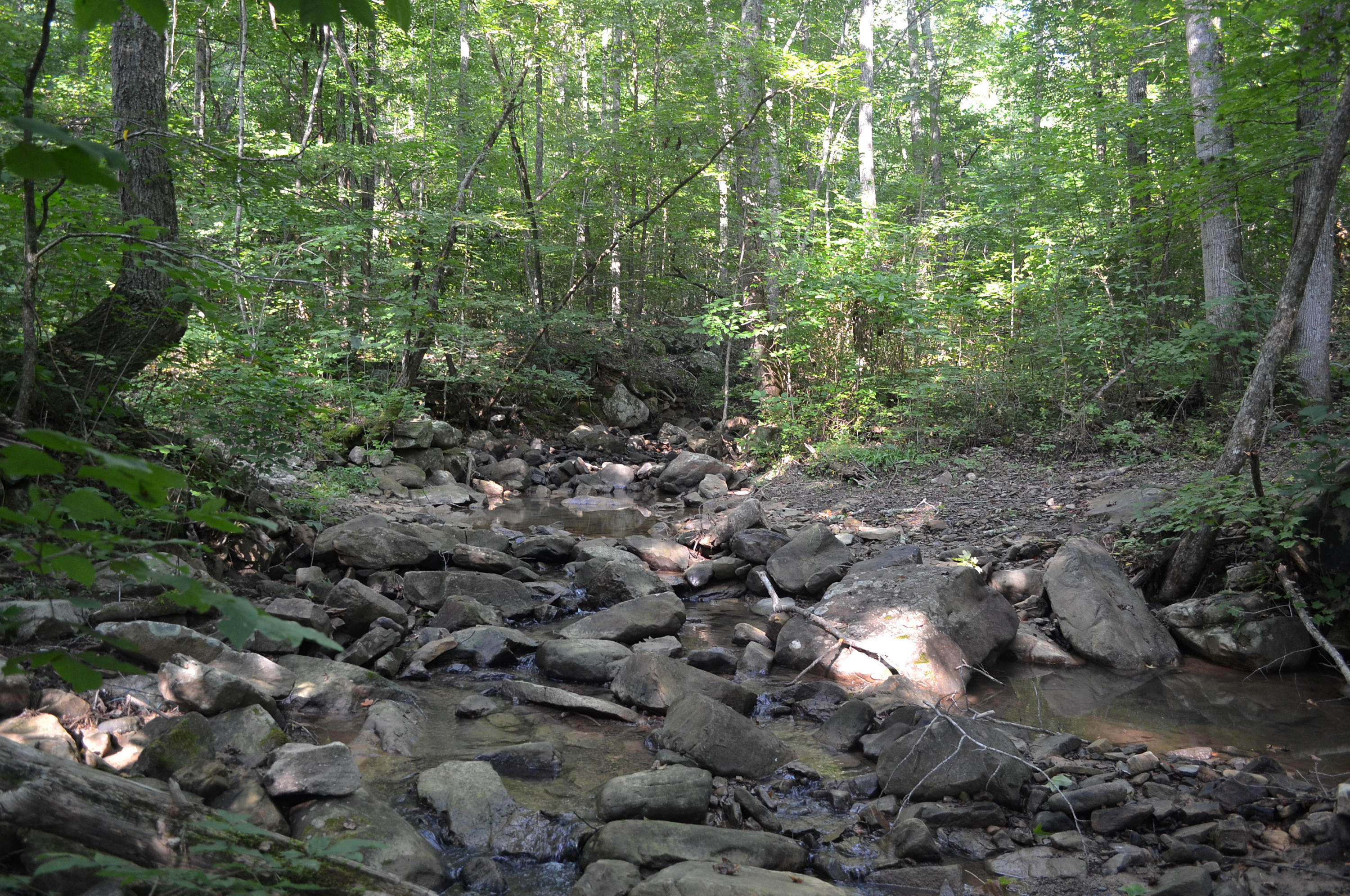 400-ac 400-ac Lusk Loop Road Dunlap, TN 37327 - Photo 8 of 41 15