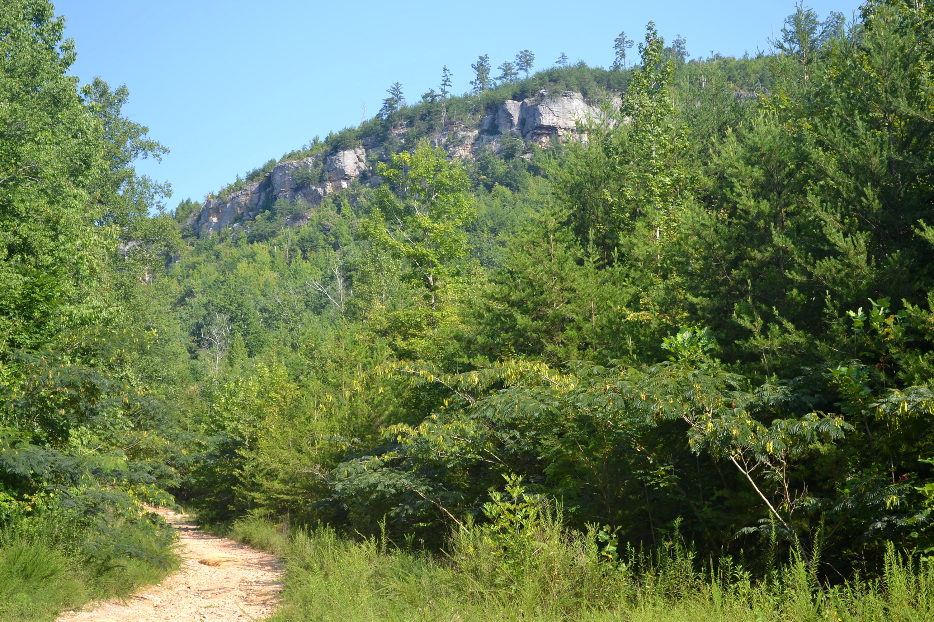 400-ac 400-ac Lusk Loop Road Dunlap, TN 37327 - Photo 10 of 41 6