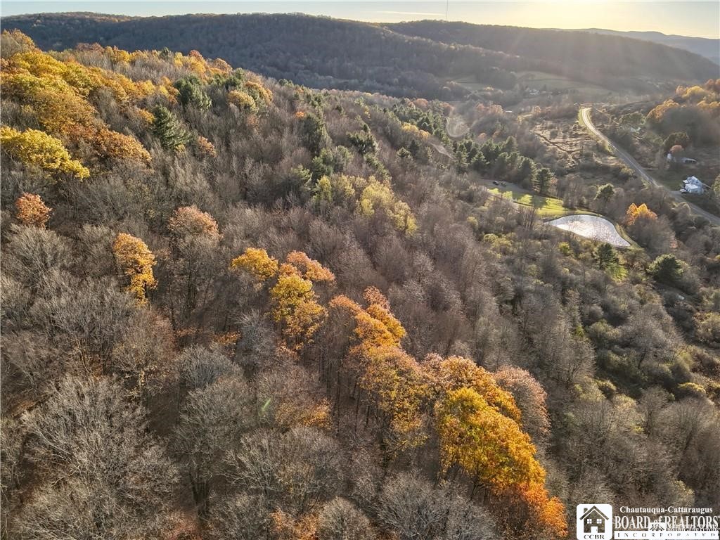 8 Co Road Friendship, NY 14739 - Photo 16 of 25