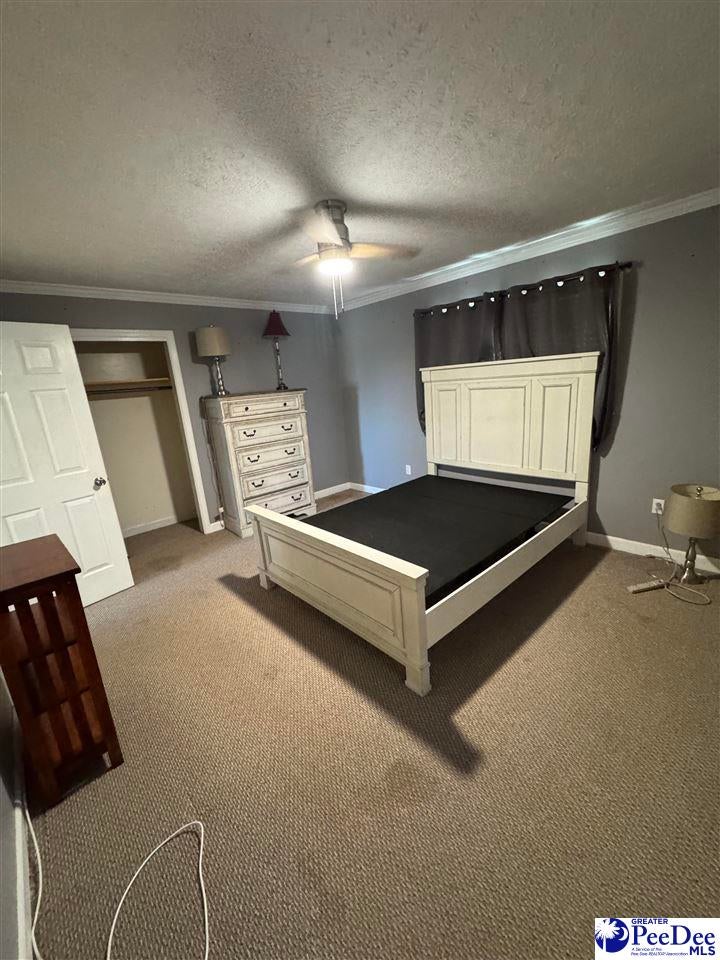 2524 Centerville Road Latta, SC 29565 - Photo 18 of 28 Gallery Image 18