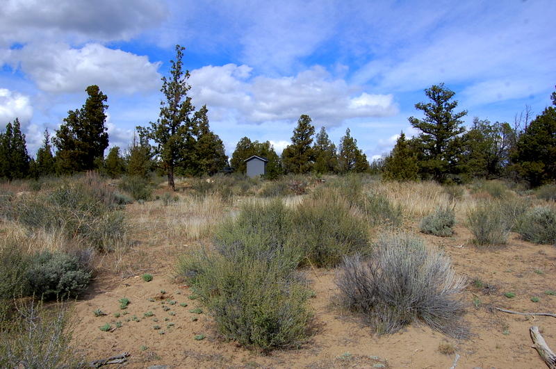 7400 Crow Road Prineville, OR 97754 - Photo 9 of 12 DSC_3629
