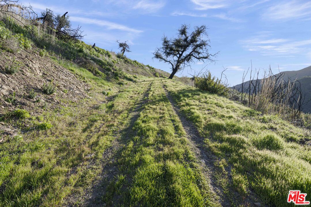 1100 Kanan Dume Road Malibu, CA 90265 - Photo 6 of 13