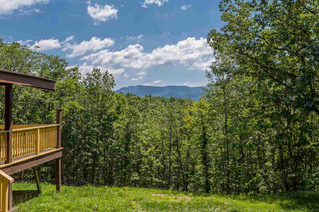 169 Rossies Road Stanley, VA 22851 - Photo 3 of 41 Gallery Image 3