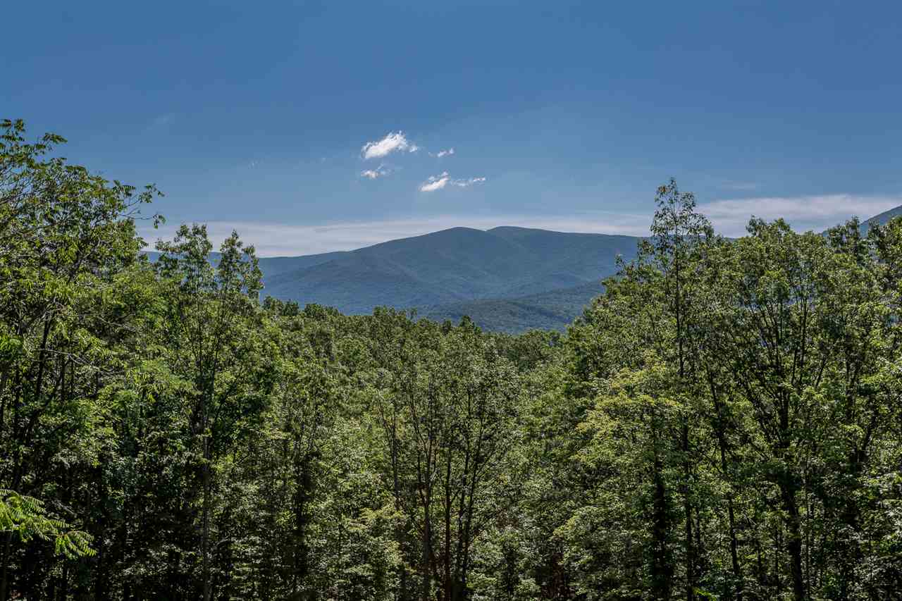 169 Rossies Road Stanley, VA 22851 - Photo 6 of 41 Gallery Image 6