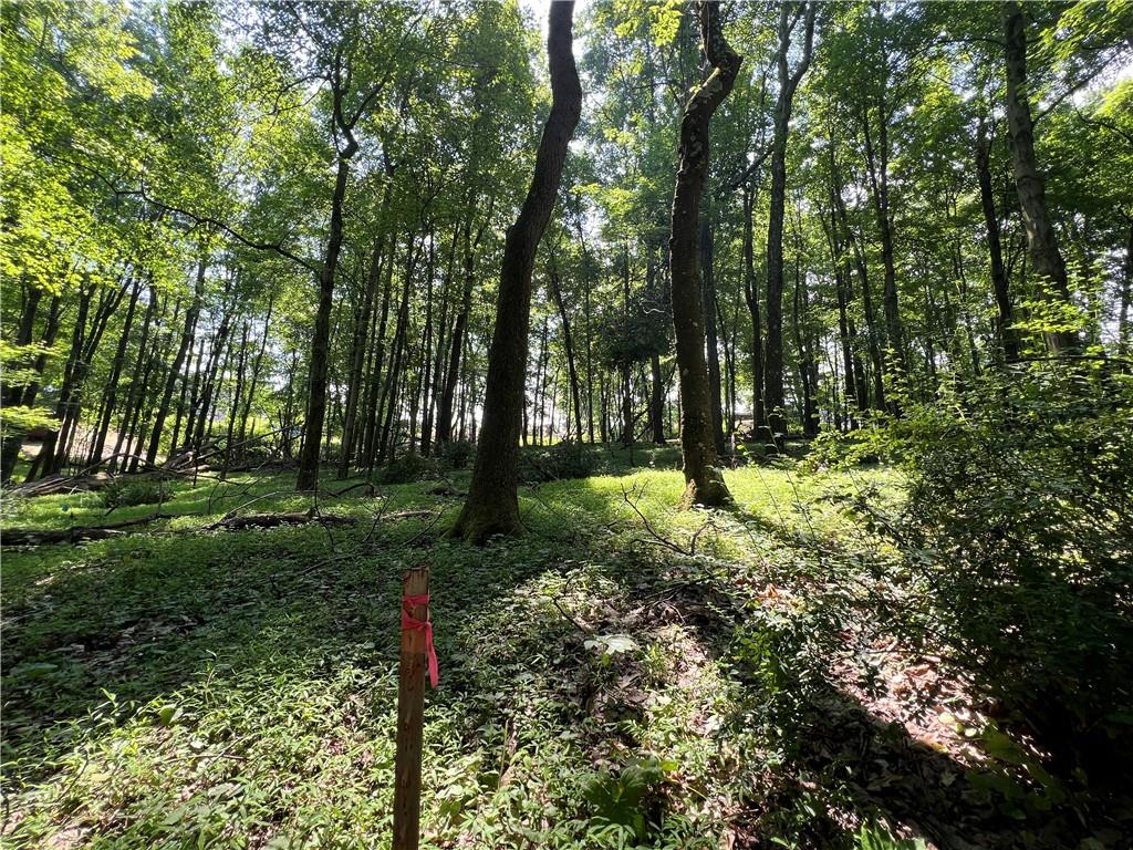 3672 Windover Road Murrysville, PA 15668 - Photo 2 of 26 Rear boundary line marker. Windover is close to 400 feet away!