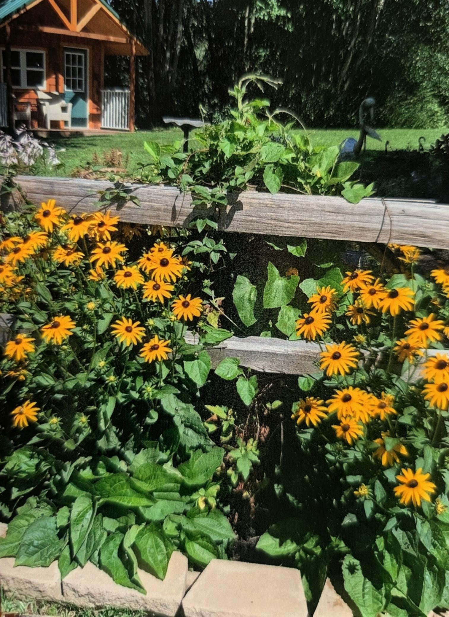 24140 West Fawn Lake Road Northeast Stacy, MN 55079 - Photo 32 of 47