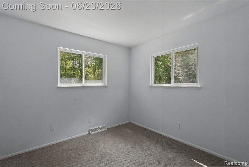 1699 Ditty Road Smiths Creek, MI 48074 - Photo 16 of 43