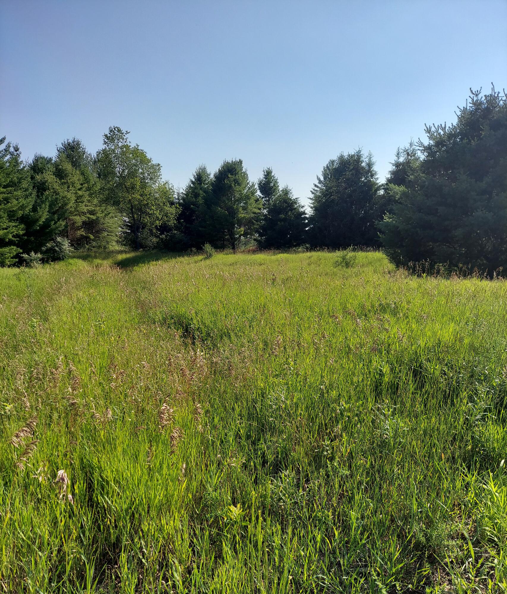 Nhn East Fowler Road Harrisville, MI 48740 - Photo 12 of 17 Gallery Image 12