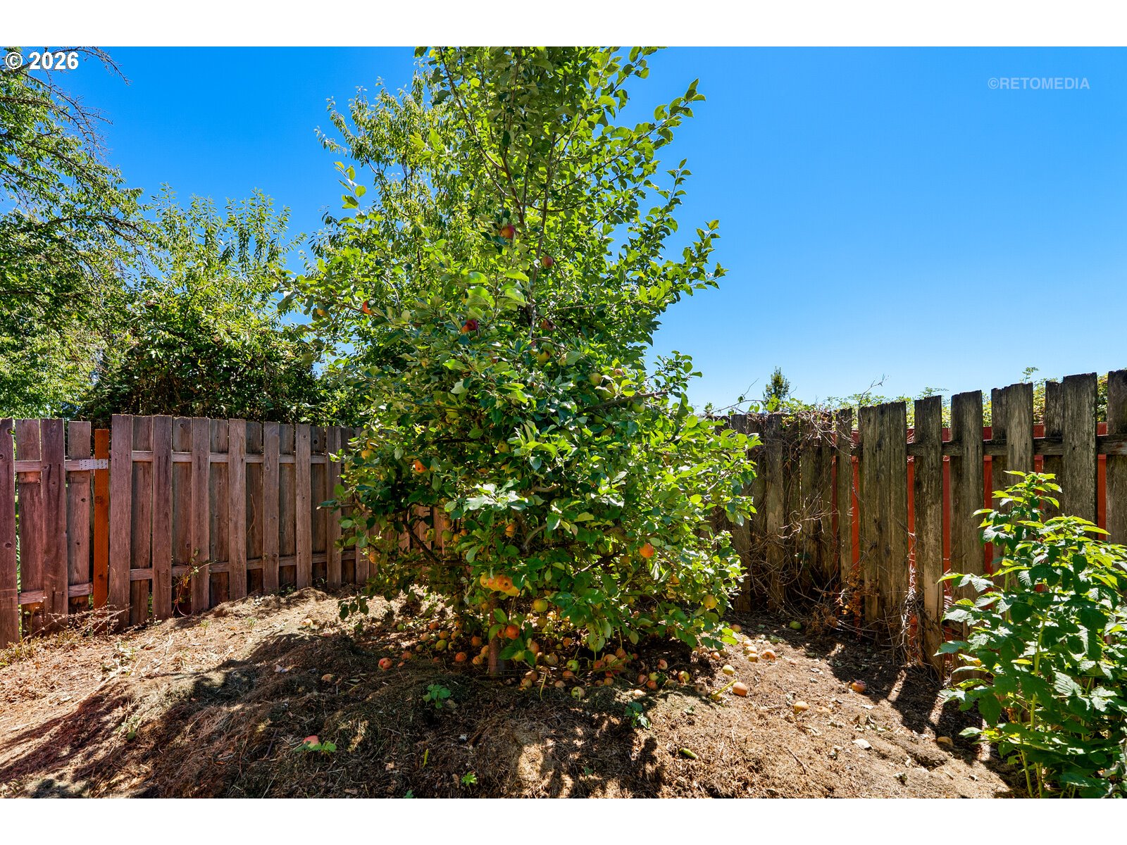 1830 Tamarack Way Forest Grove, OR 97116 - Photo 32 of 44