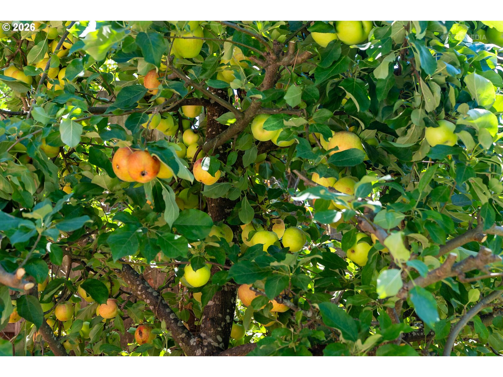 1830 Tamarack Way Forest Grove, OR 97116 - Photo 33 of 44