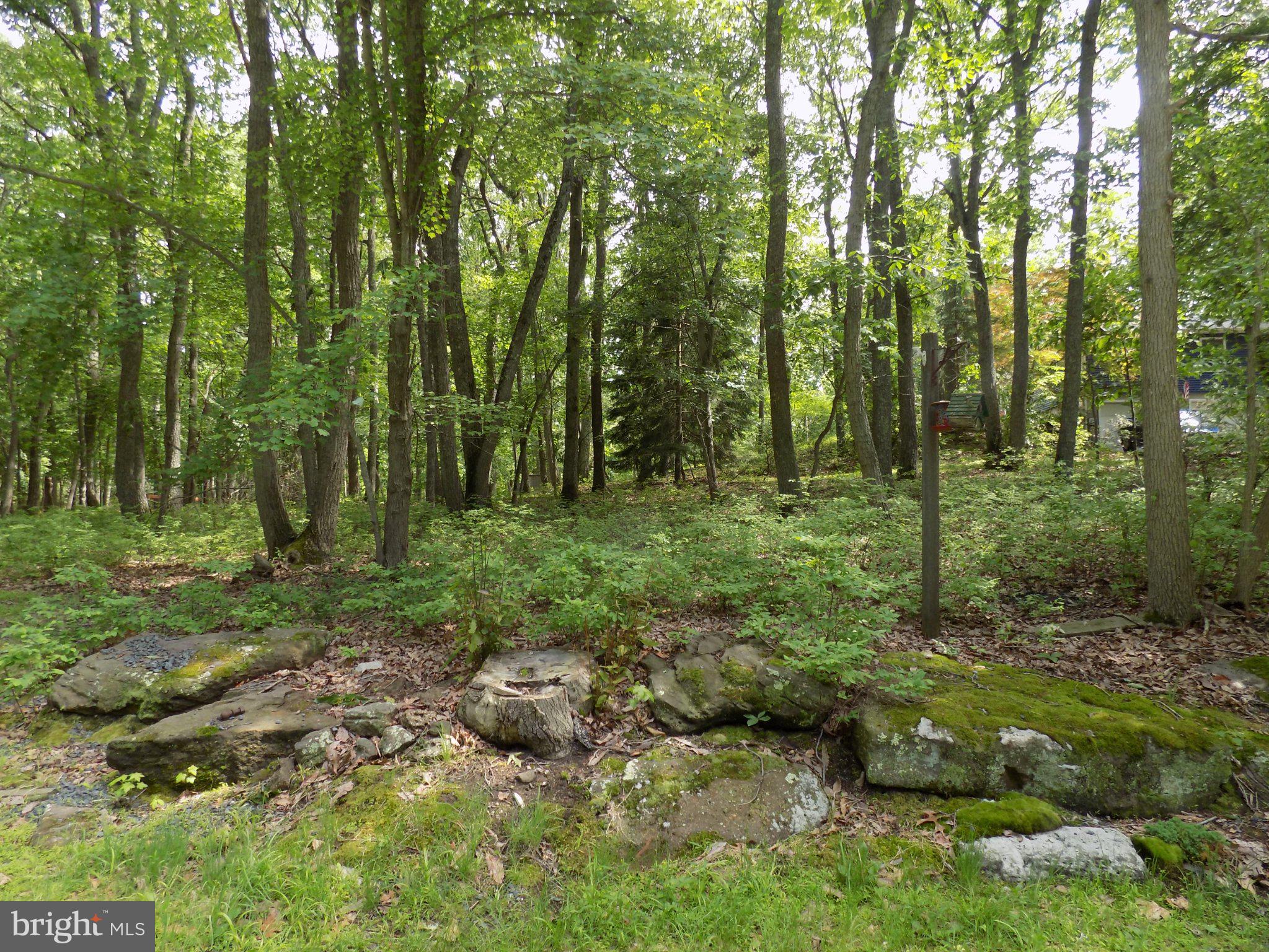 1 Filmore Road Millstone Township, NJ 08510 - Photo 24 of 25