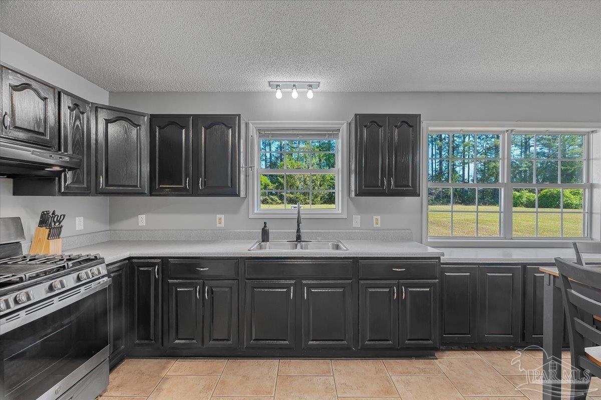 6374 Perfect Acres Road Milton, FL 32570 - Photo 10 of 66