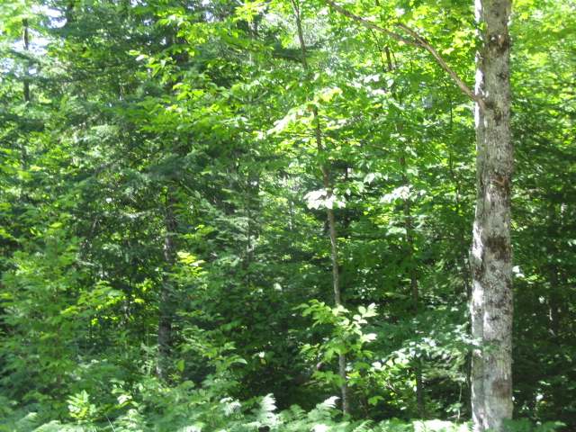 On On Cth G, Unit LT 9 Mercer, WI 54547 - Photo 2 of 15 Gallery Image 2