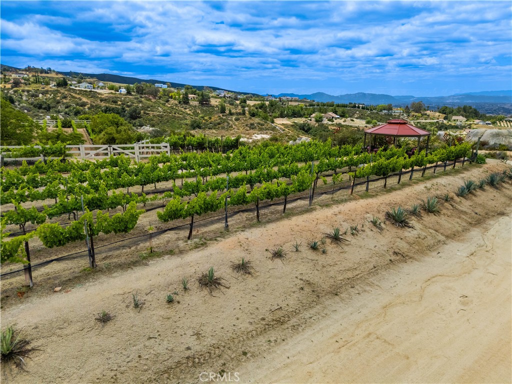 1 Gray Squirrel Road Temecula, CA 92592 - Photo 20 of 74