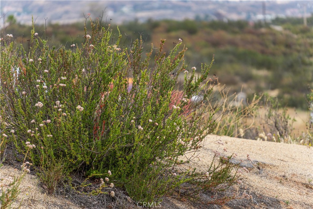 1 Gray Squirrel Road Temecula, CA 92592 - Photo 35 of 74