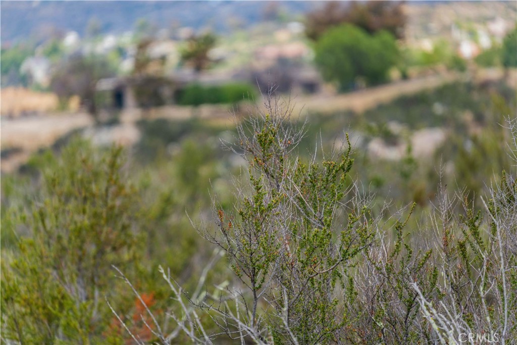1 Gray Squirrel Road Temecula, CA 92592 - Photo 42 of 74