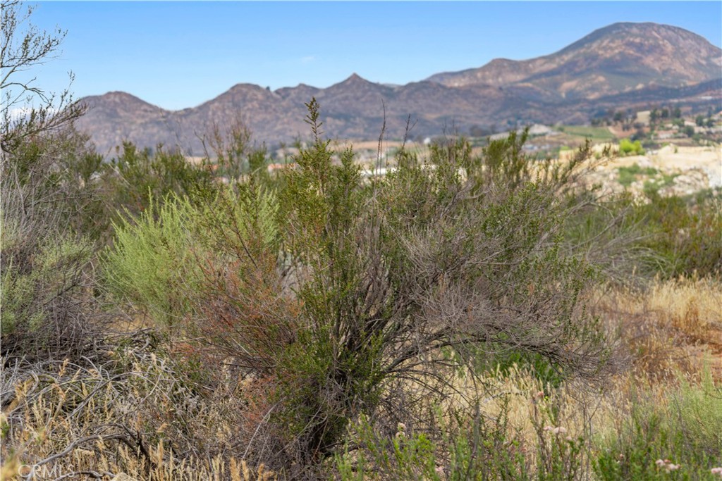 1 Gray Squirrel Road Temecula, CA 92592 - Photo 45 of 74