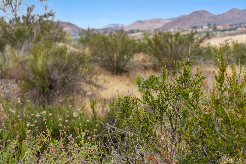 1 Gray Squirrel Road Temecula, CA 92592 - Photo 52 of 74