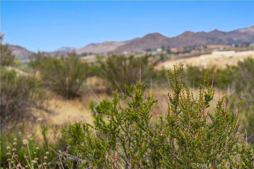 1 Gray Squirrel Road Temecula, CA 92592 - Photo 56 of 74