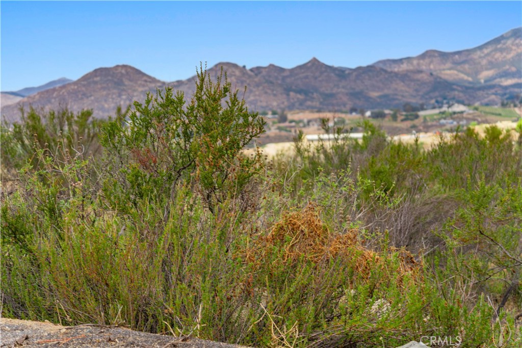 1 Gray Squirrel Road Temecula, CA 92592 - Photo 61 of 74