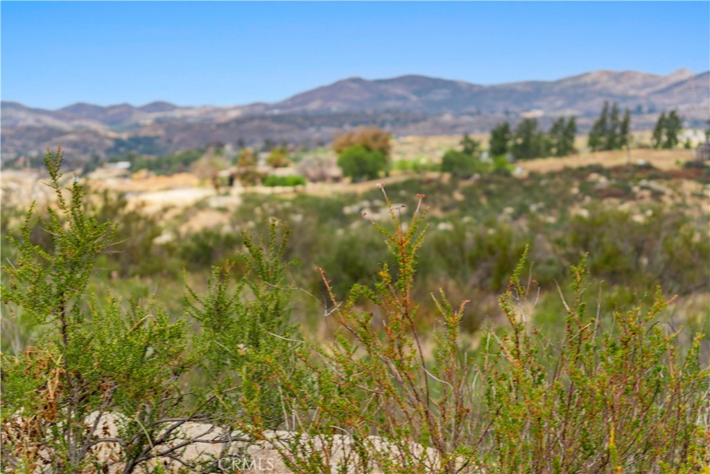 1 Gray Squirrel Road Temecula, CA 92592 - Photo 63 of 74