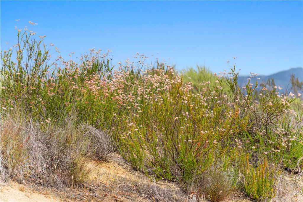 1 Gray Squirrel Road Temecula, CA 92592 - Photo 72 of 74