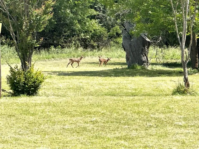 a view of an ocean view