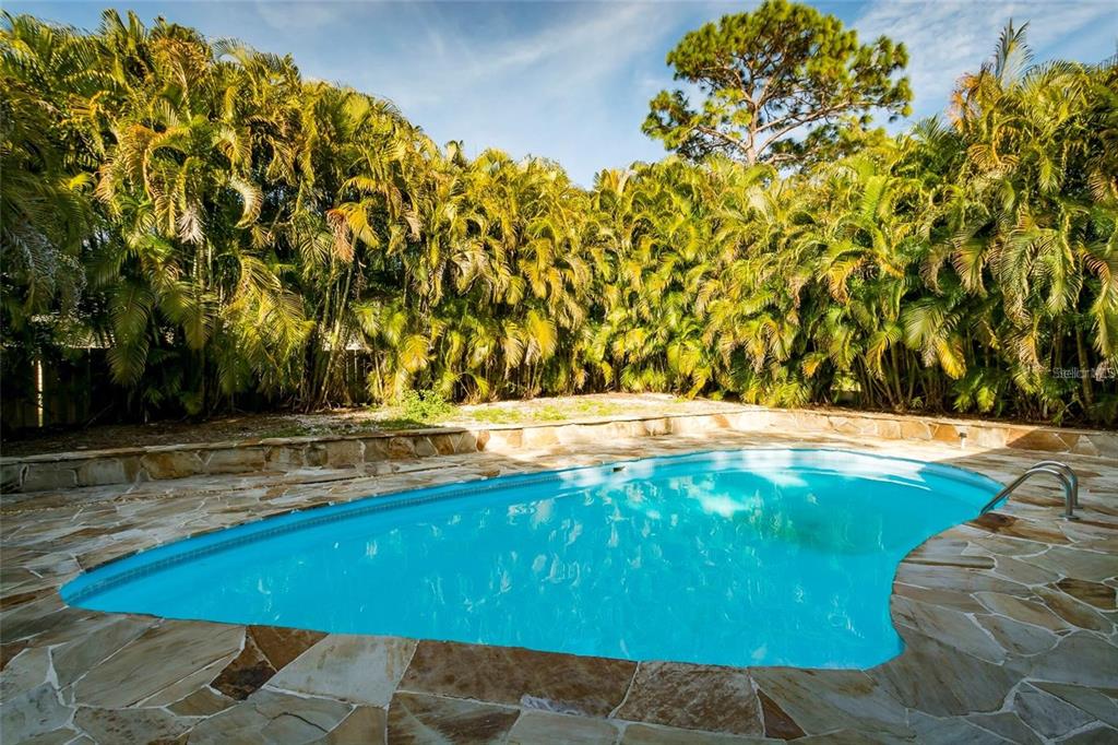 1647 Hobbit Road Dunedin, FL 34698 - Photo 11 of 36 a view of swimming pool with an outdoor space