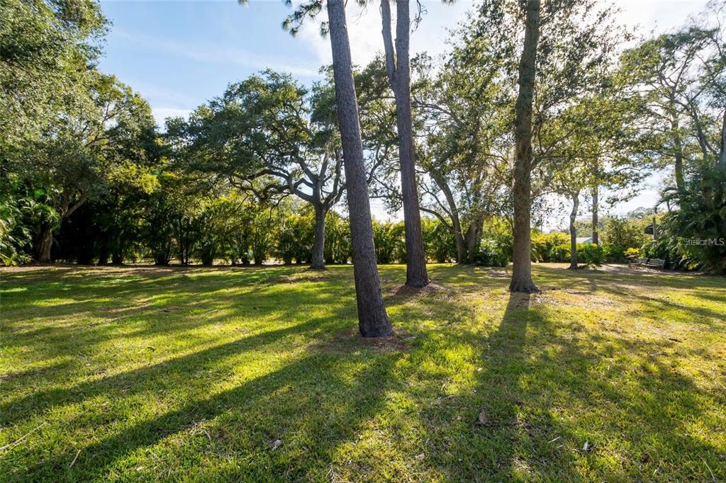 1647 Hobbit Road Dunedin, FL 34698 - Photo 2 of 36 a view of yard with swimming pool and trees
