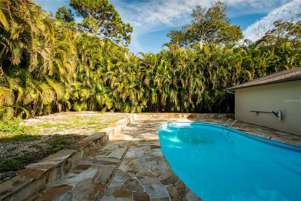1647 Hobbit Road Dunedin, FL 34698 - Photo 9 of 36 a view of swimming pool from a yard