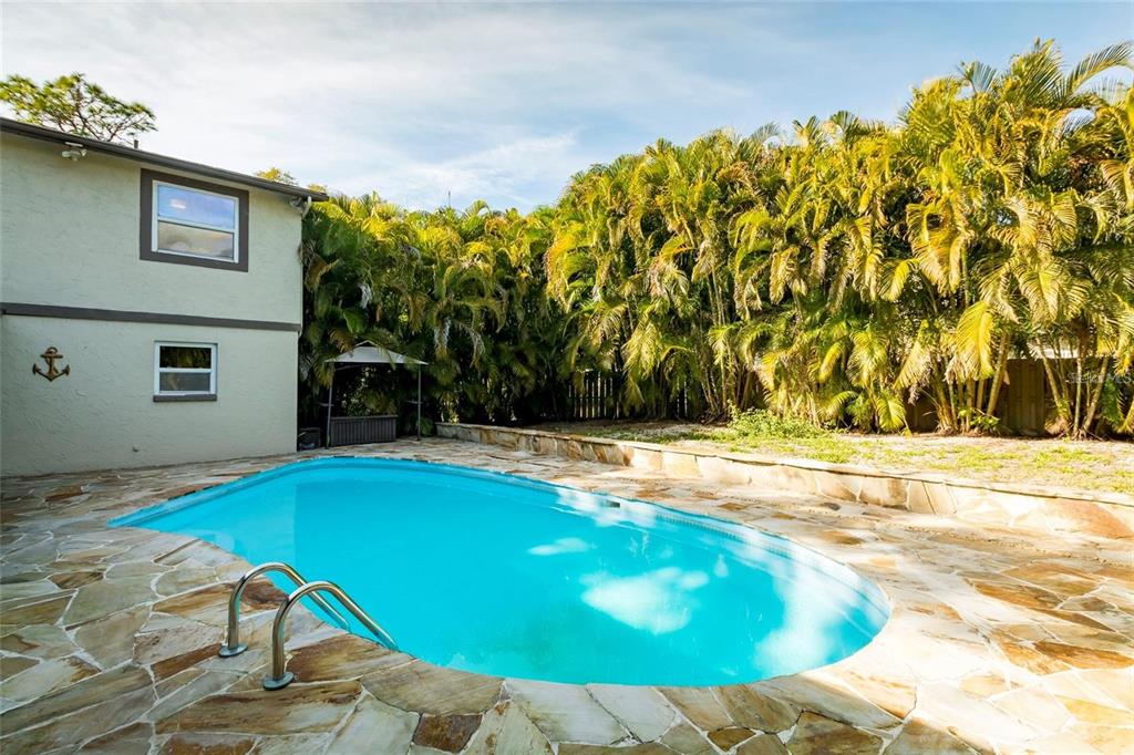 1647 Hobbit Road Dunedin, FL 34698 - Photo 10 of 36 a view of swimming pool
