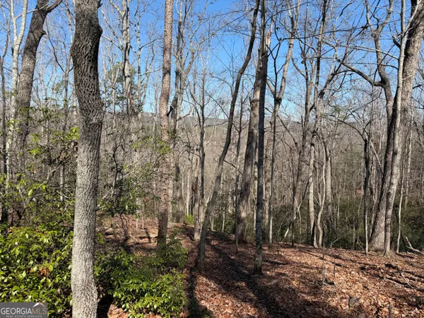 $69,000 | 0 Tanager Trail, Alto, GA 30510
