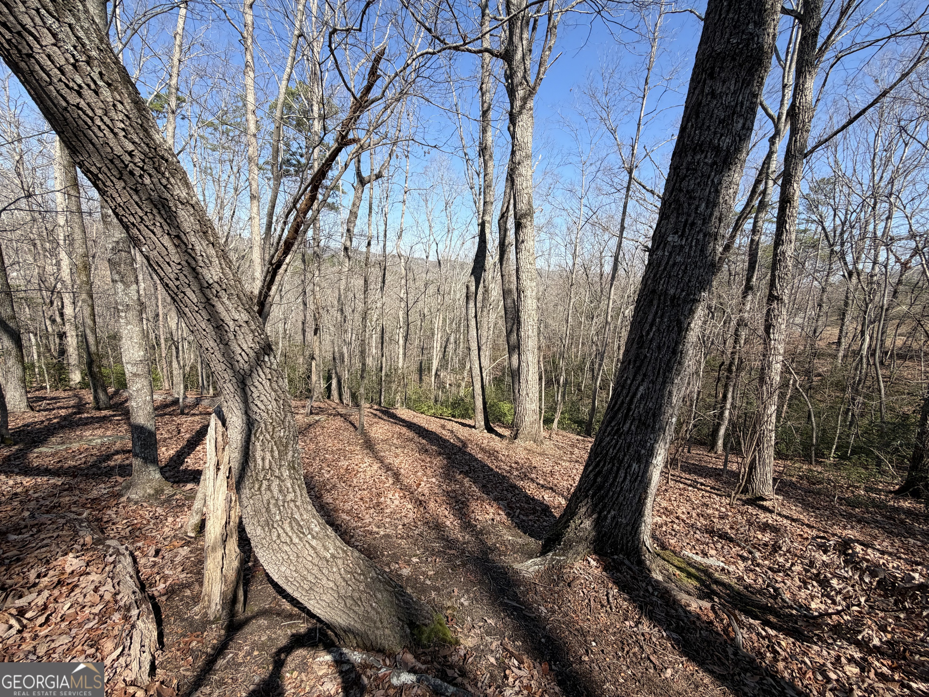 0 Tanager Trail Alto, GA 30510 - Photo 2 of 12