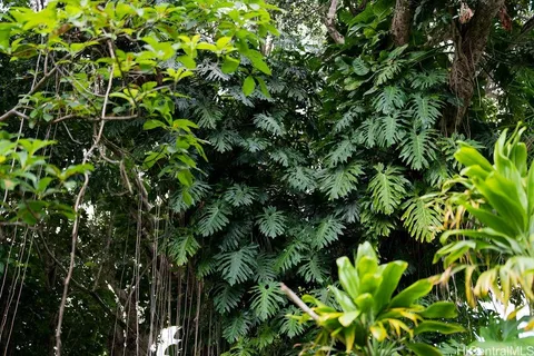 a backyard of a house with lots of green space