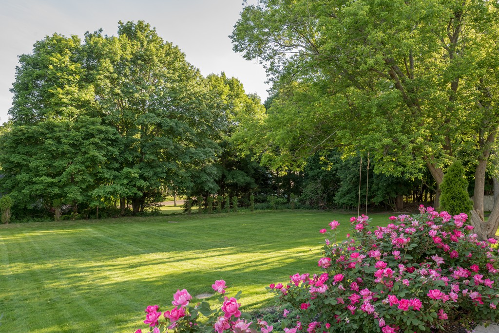 392 Main Street Hingham, MA 02043 - Photo 30 of 30 a view of a garden with flowers