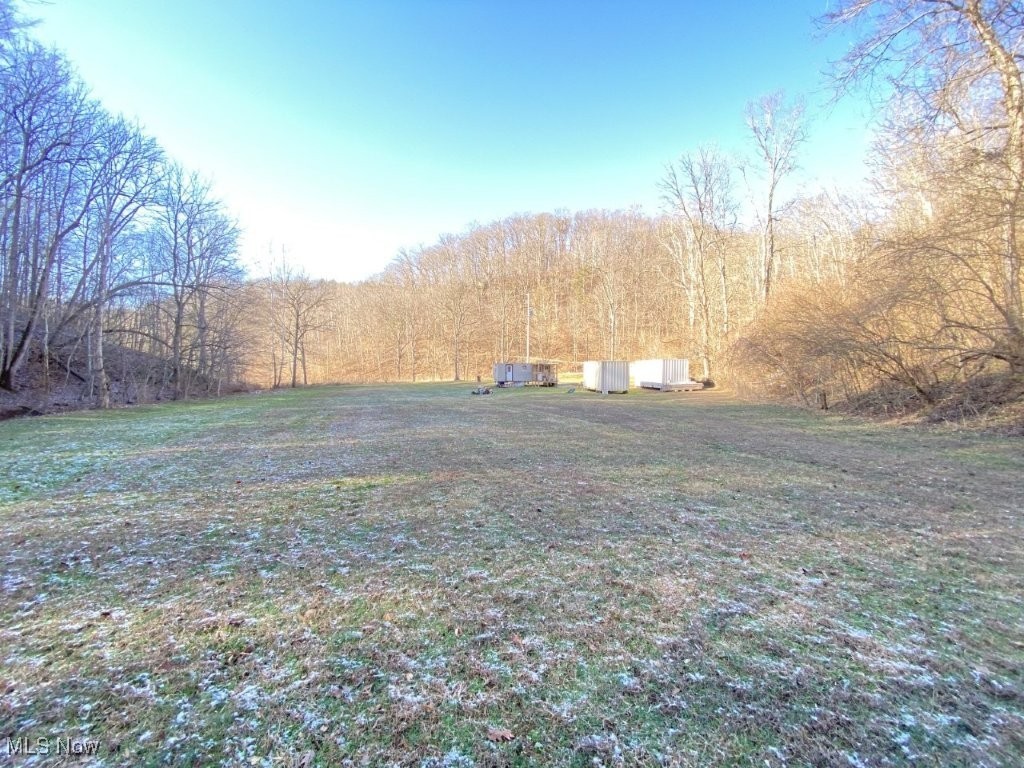 88 Ivy Road Walton, WV 25286 - Photo 3 of 37